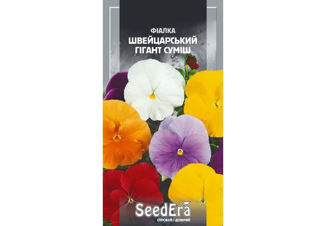 Фото 2 - Фіалка Садова Дворічна Швейцарський Гігант Суміш (Seed Era)