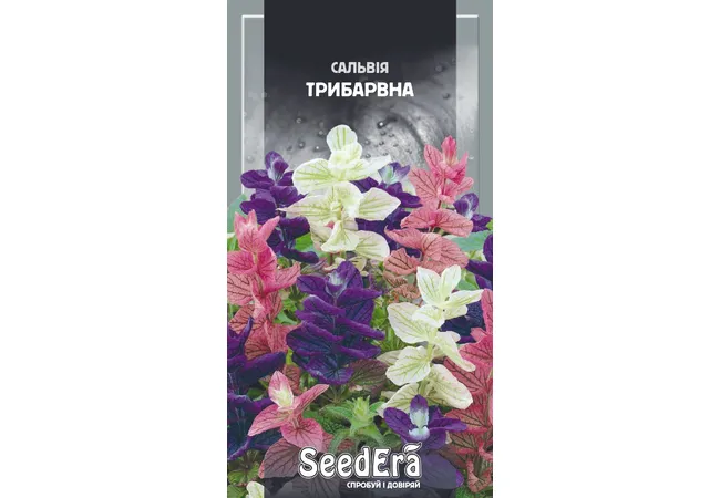 Фото 2 - Сальвія Трибарвна 0.2г (Seed Era)