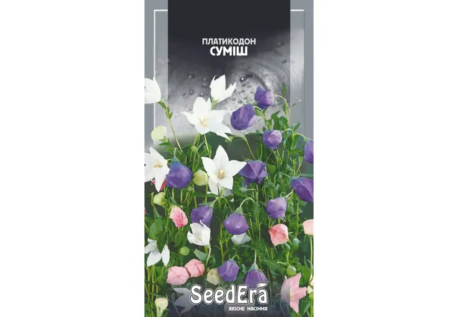 Фото 2 - Платикодон багаторічний Великоквітковий Суміш 0.1г (Seed Era)