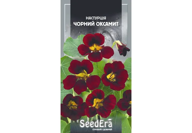 Фото 2 - Настурція Чорний Оксамит 1г (Seed Era)
