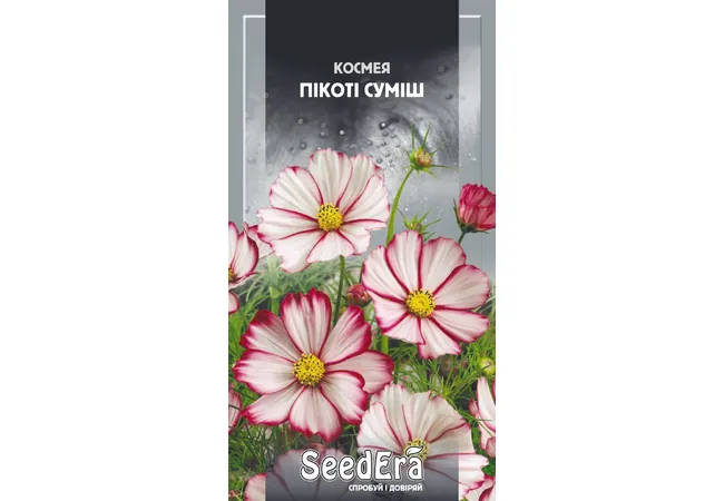 Фото 2 - Космея Пікоті Суміш 0.5г (Seed Era)