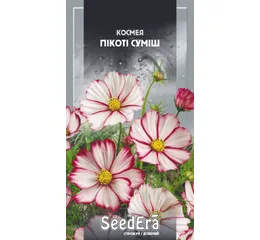 Космея Пікоті Суміш 0.5г (Seed Era)