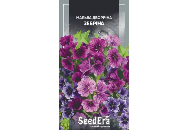 Фото 2 - Мальва Дворічна Зебріна 0.2г (Seed Era)