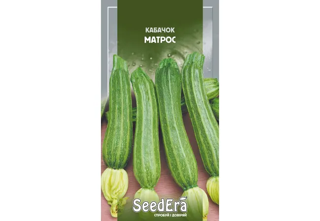 Фото 2 - Кабачок Матрос 2г (Seed Era)