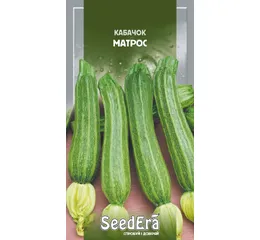 Кабачок Матрос 2г (Seed Era)