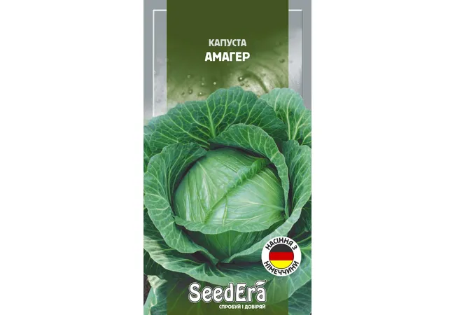 Фото 2 - Капуста Білоголова Амагер 1г (Seed Era)