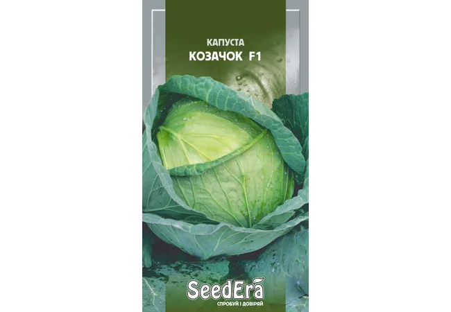 Фото 2 - Капуста Білоголова Козачок F1 0.25г (Seed Era)
