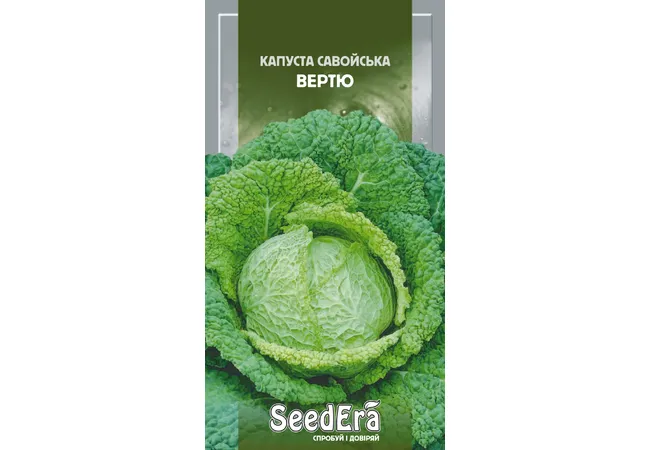 Фото 2 - Капуста Савойська Вертю 0.5г (Seed Era)
