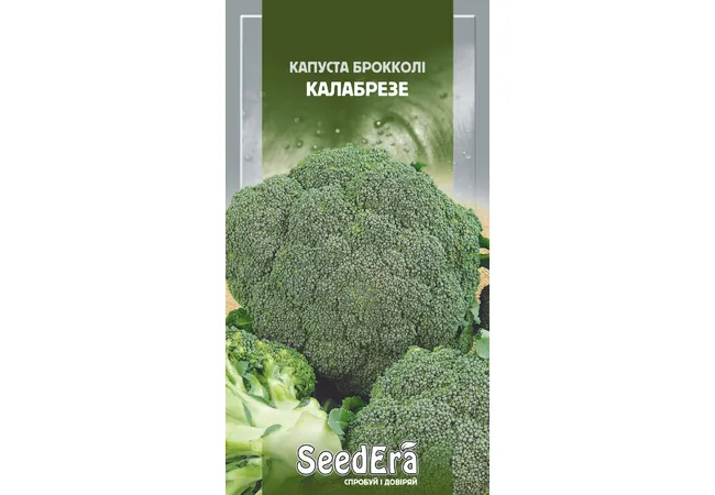 Фото 2 - Капуста Брокколі Калабрезе 