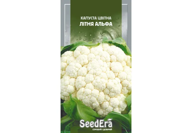 Фото 2 - Капуста Цвітна Літня Альфа 0.5г (Seed Era)