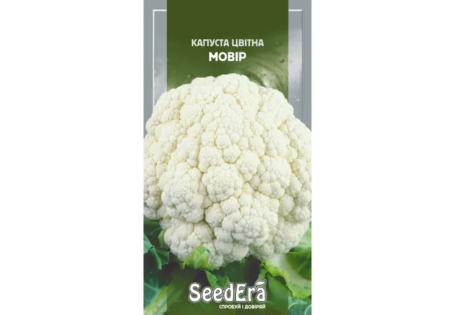 Фото 2 - Капуста Цвітна Мовір 0.5г (Seed Era)