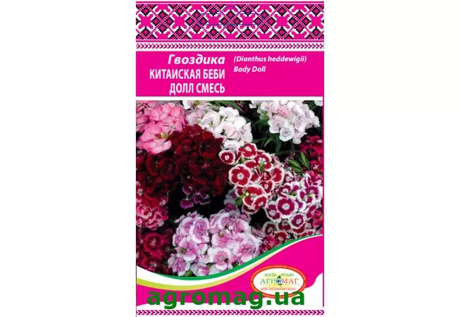Фото 2 - Насіння квітів Гвоздика Китайська Бебі Долл суміш 0,2 г (Агромаг)