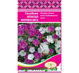 Насіння квітів Гвоздика Китайська махрова Суміш 0,2 г (Агромаг)