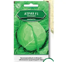 КАПУСТА АТРІЯ F1 (Голландія) 20шт (Агромаг)