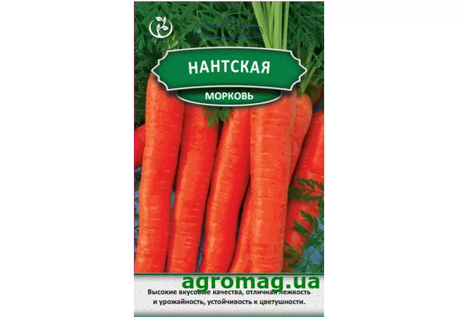 Фото 2 - Насіння морква Нантская 3г (Агромаг)