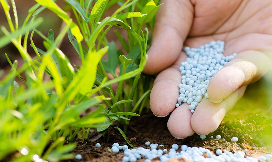 підживлення саду восени