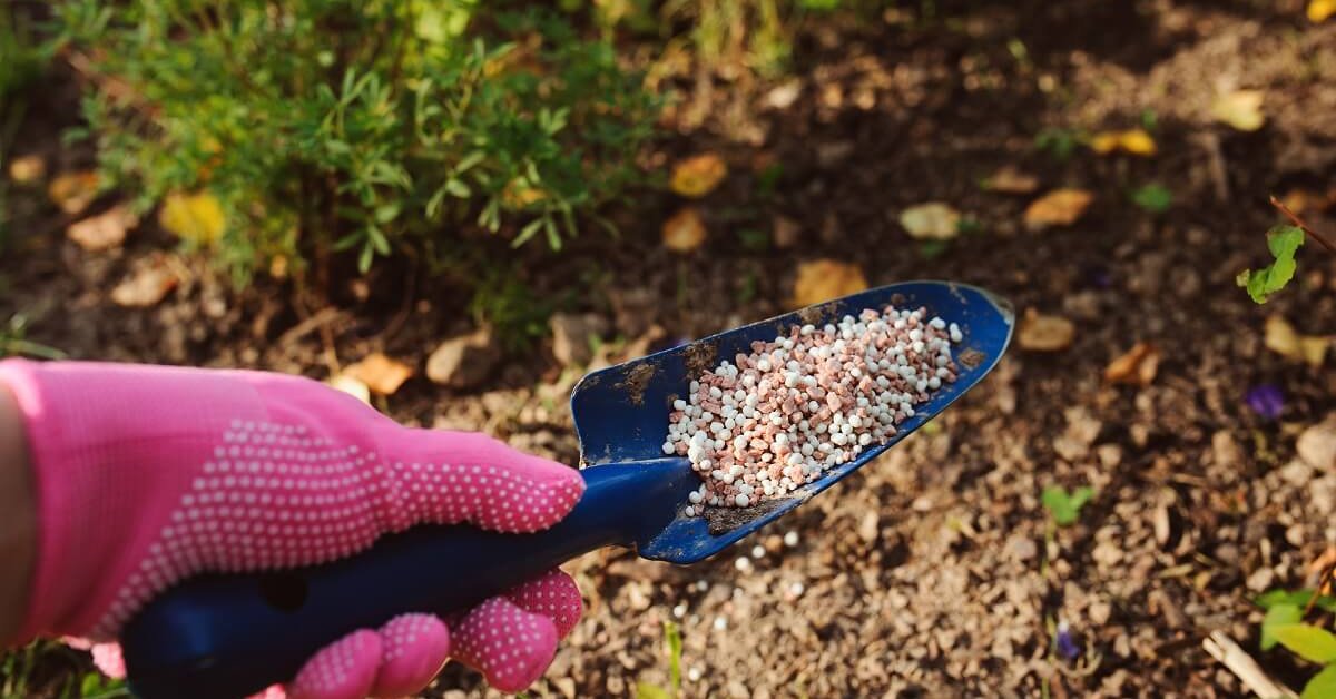 осіння підгодівля город